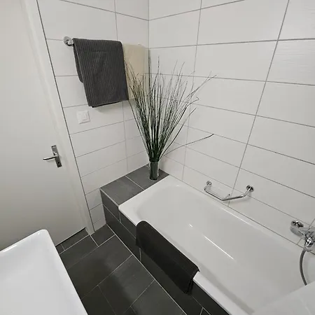 Sensi Living Stadion Self Check In アパート Rapperswil-Jona