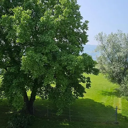 Sensi Living Stadion Self Check In * Рапперсвиль