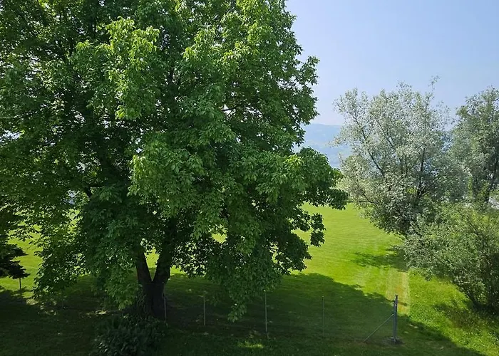Sensi Living Stadion Self Check In * Rapperswil-Jona